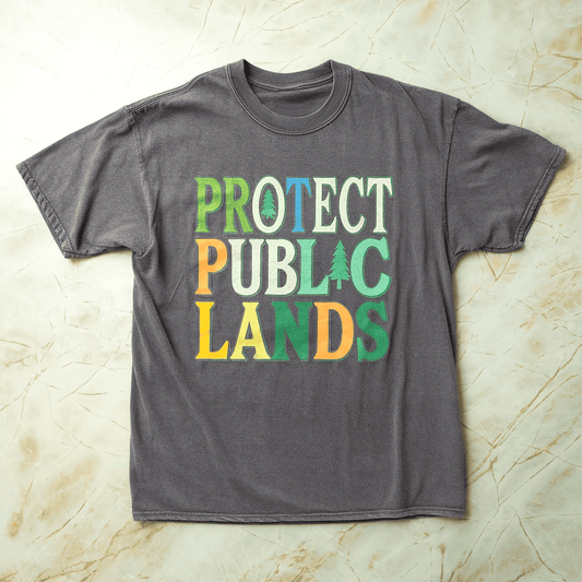 Protect Public Lands Tee